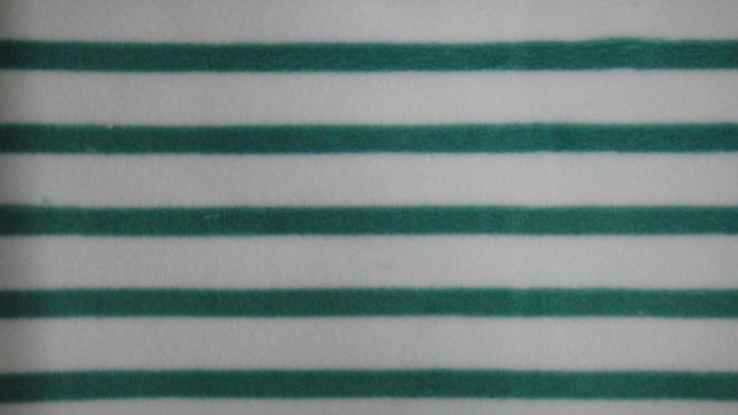 China Factory 100% Polyester Brushed Super Soft Fabric