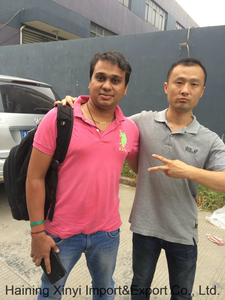 Heavy Chenille Fabric for Modern Style Sofa Cushion Coverings