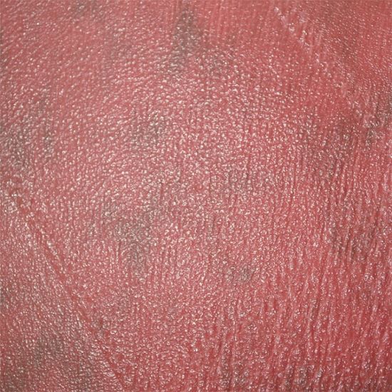 100% Polyester of Textile-1400292-2 for Clothes