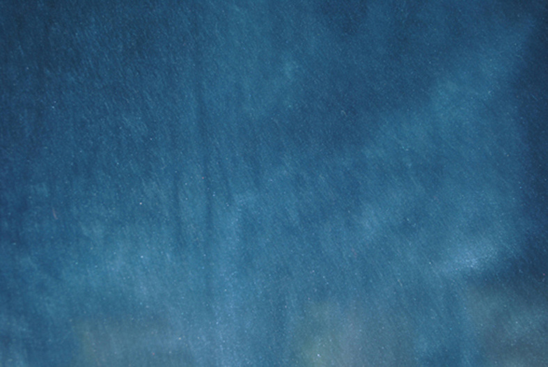 100%Polyester of Warp Knitted Fabric