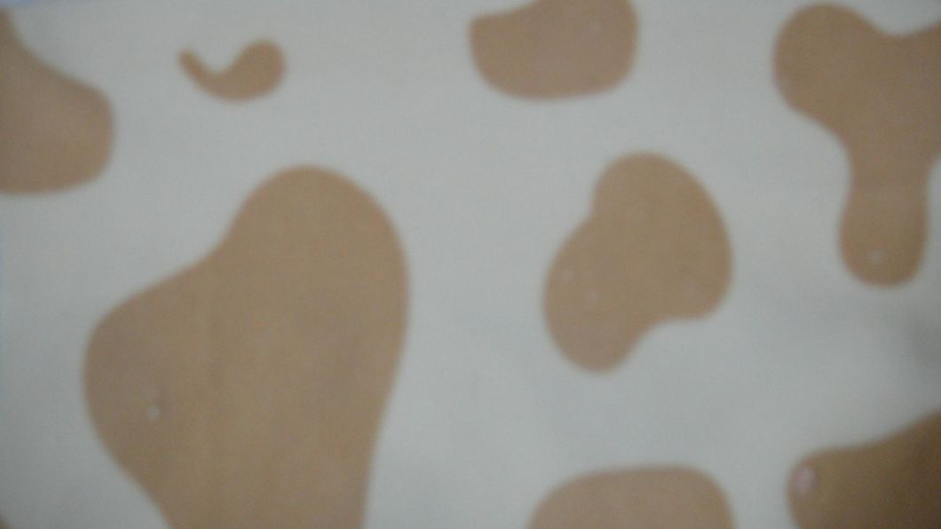 Polyester Printed Super Soft Knitting Fabric