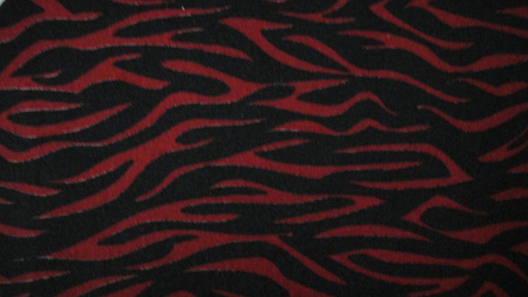 Polyester Printed Coral Fleece Super Soft Fabric (printed or dyeding)