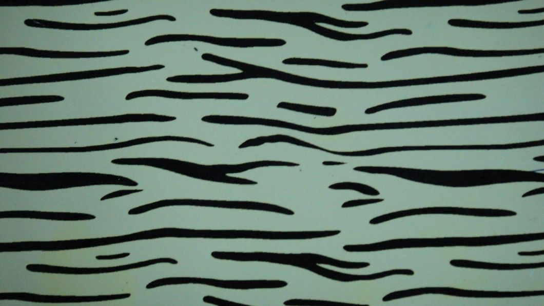 Polyester Fabric of Warp Knitting