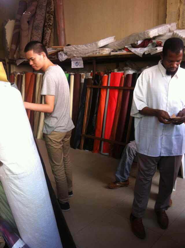 New Arrival Home Furniture Sofa Fabrics